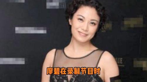 廖碧儿老公资料,揭秘神秘富豪的传奇人生  第2张