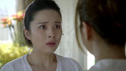 虎妈猫爸演员表罗丹,从家庭到职场，她如何诠释现代女性力量？  第2张