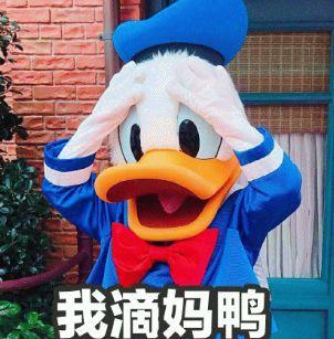 娱乐圈唐老鸭是谁,揭秘明星唐老鸭背后的故事  第3张