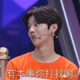 鹿晗春晚表情包