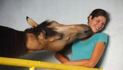 亲吻马的照片,温馨瞬间定格